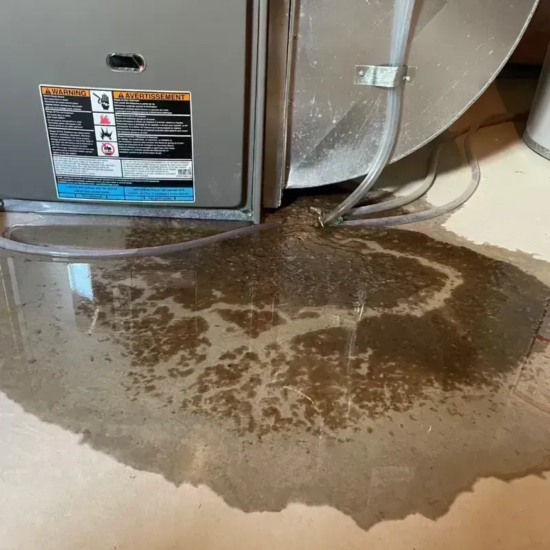 Appliance Leak Cleanup in Russell Springs, KY